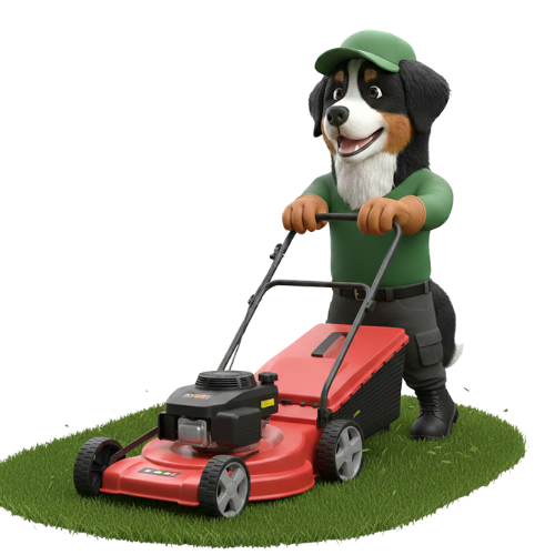 m lawn mowing