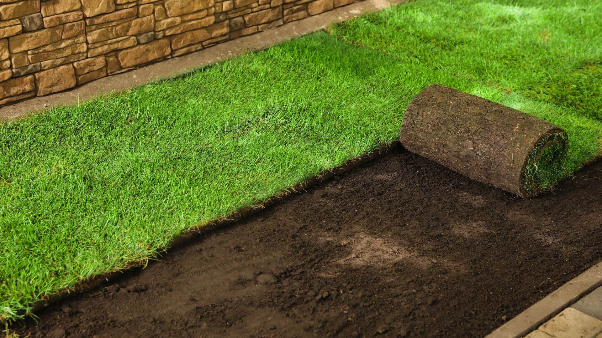 Lawn Care & Landscaping Services sod installation
