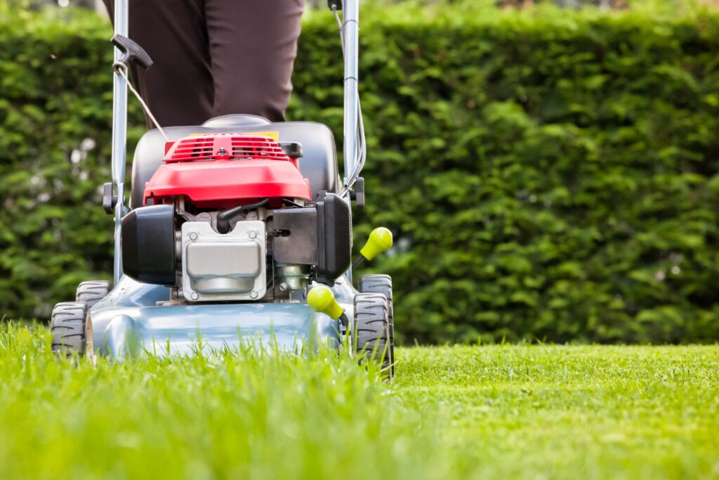 Lawn Care & Landscaping Services mow 33