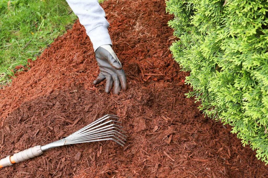 Lawn Care & Landscaping Services mulch