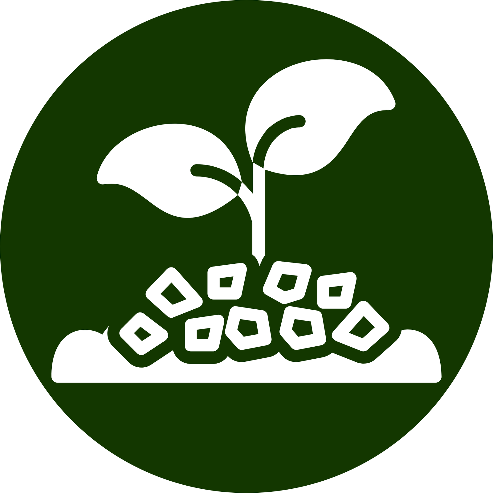 Landscaping 14