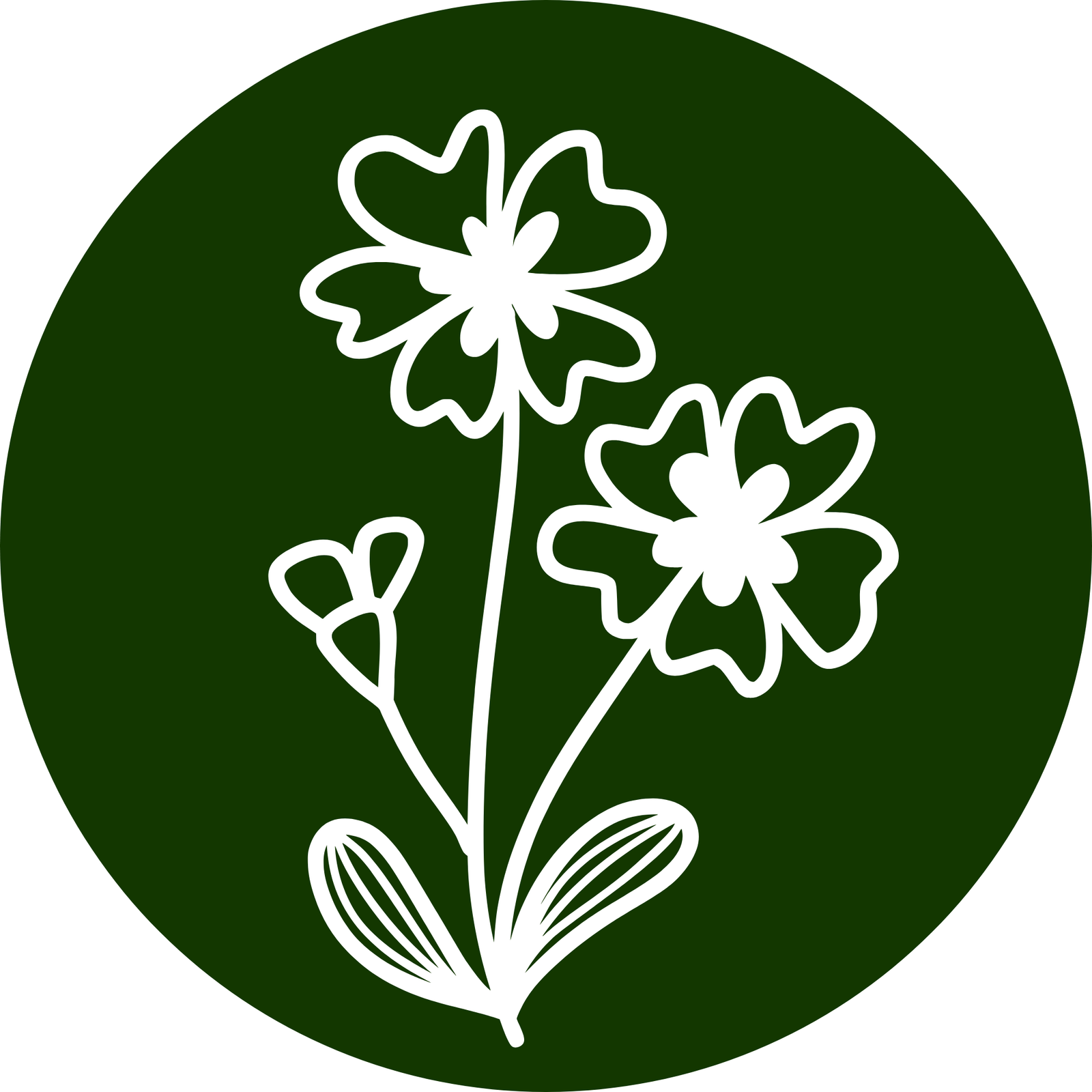 Landscaping 181