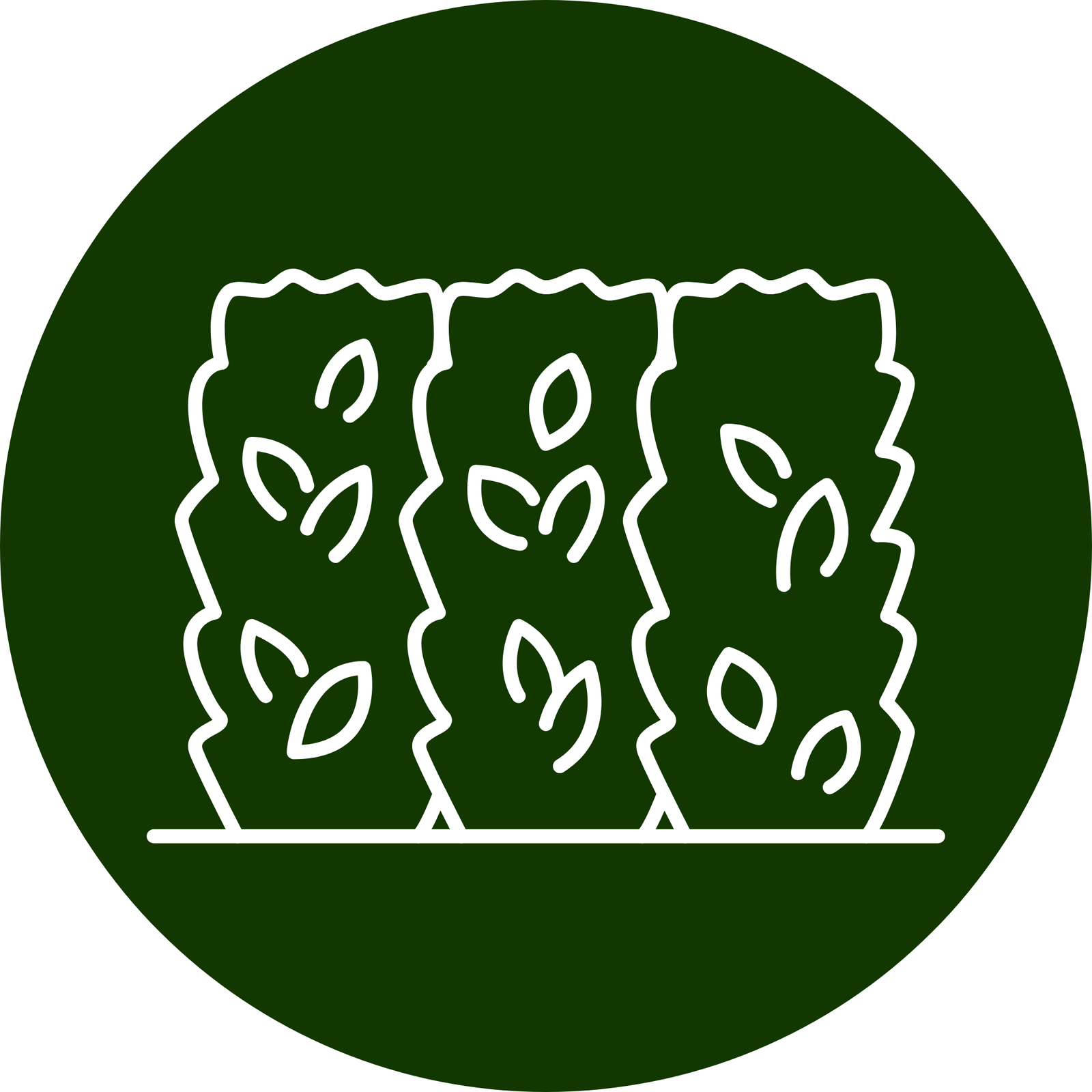 Landscaping 19