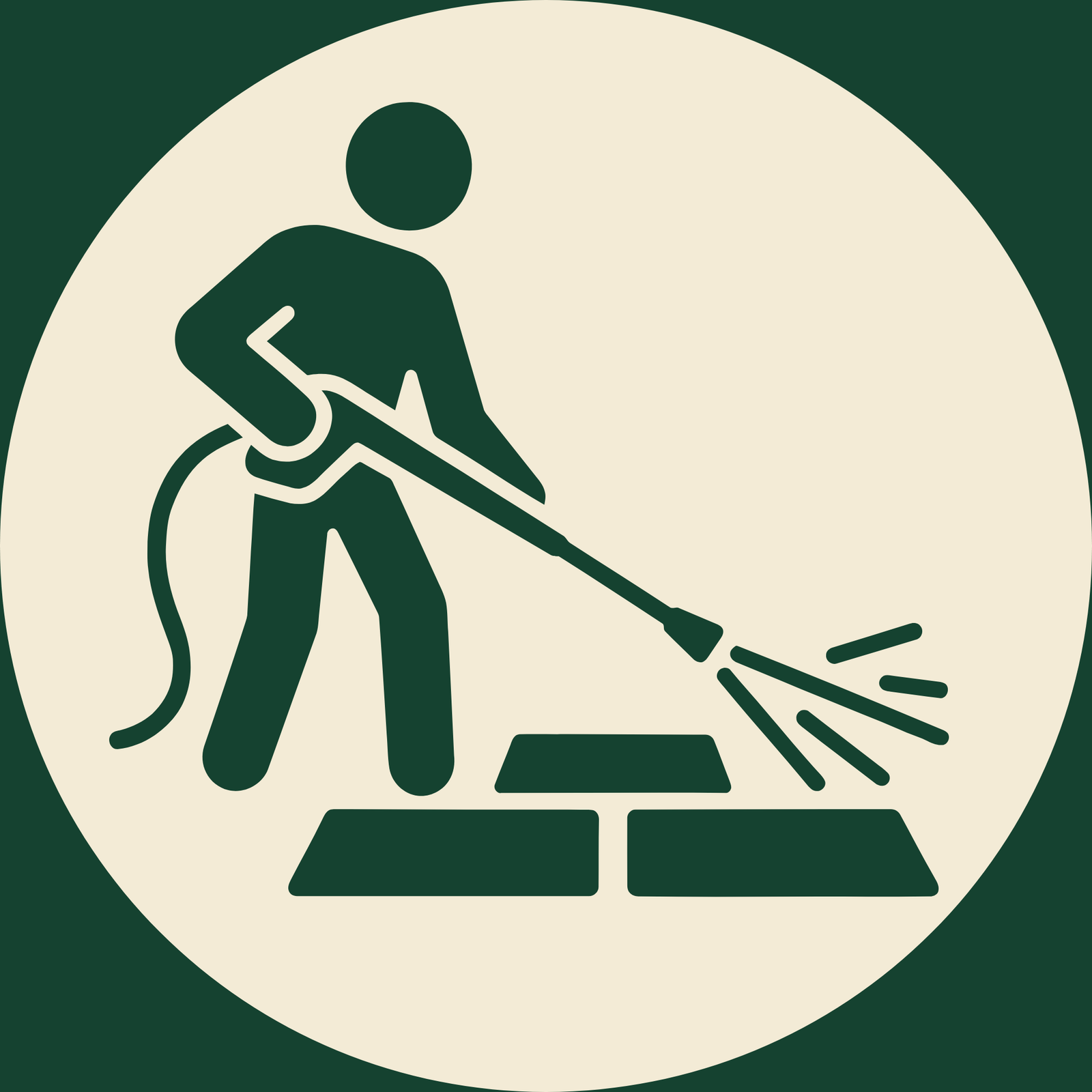pw icon