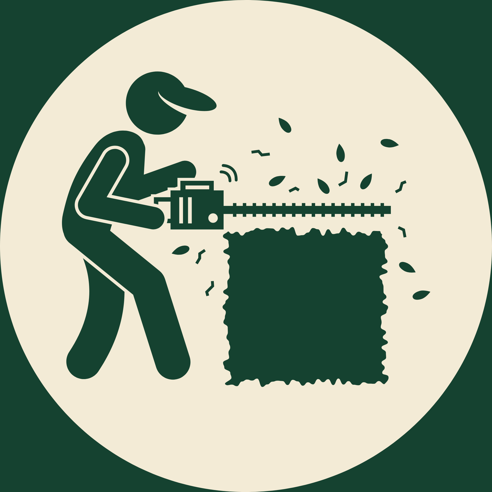 tm icon